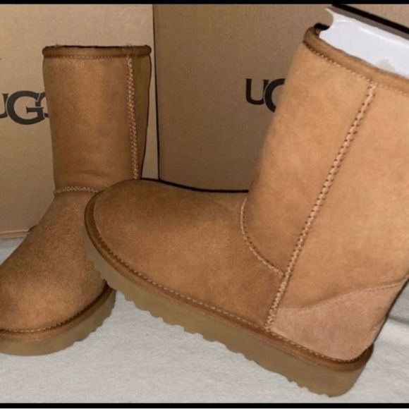 UGG Shoes - UGG CLASSIC SHORT
